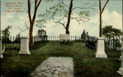 Grave Of Daniel Webster Marshfield, MA Postcard Postcard