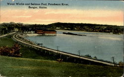 Water Works And Salmon Pool Postcard