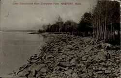 Lake Sebasticook, Evergreen Park Newport, ME Postcard Postcard