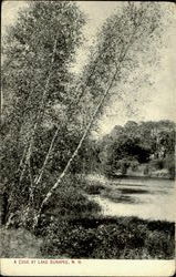 A Cove At Lake Sunapee Postcard