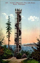 Gunther's Observation Tree, Lake Burian Seattle, WA Postcard Postcard