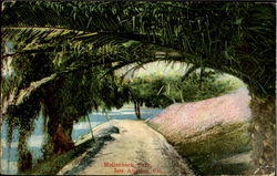 Hollenbeck Park Los Angeles, CA Postcard Postcard