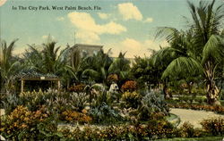 In The City Park West Palm Beach, FL Postcard Postcard