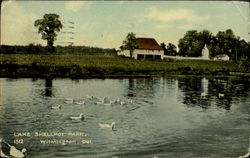 Lake Shellpot Park Postcard