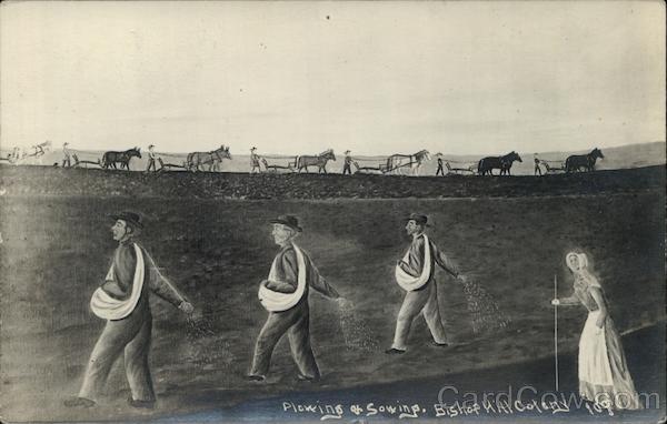 Horse Plowing Bishop Hill Colony Swedish Colony Illinois