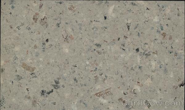 $200 of Macerated US Money Mint, US Treasury Macerated Money & Stamps