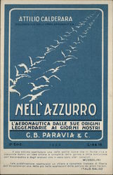 Cranes & Attillio Airplane Italy Postcard