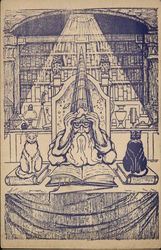 Magician Wizard Library Cats Postcard