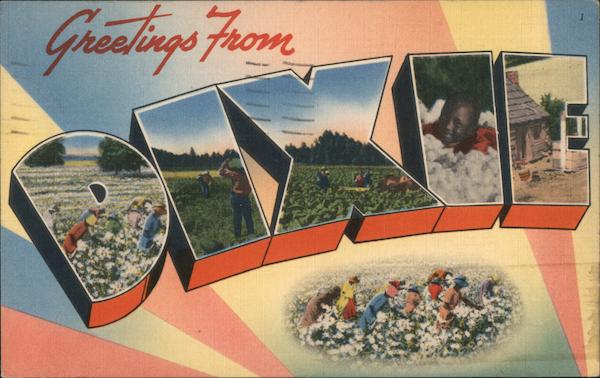 Greetings from Dixie - a Cotton Pickin' Postcard Large Letter