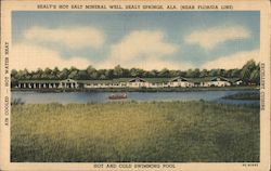 Sealy's Hot Salt Mineral Well Postcard