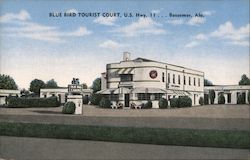 Blue Bird Tourist Court, U.S. Hwy. 11 Postcard
