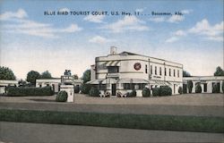 Blue Bird Tourist Court, U.S. Hwy. 11 Bessemer, AL Postcard Postcard Postcard