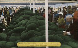Piles of Watermelons at Rocky Ford Fair Grounds Postcard