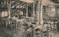 Dining Room With Rock Garden, Long Trail Lodge, Sherburne Pass Postcard