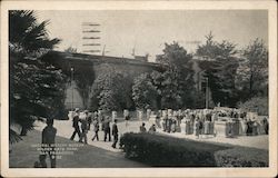 Natural History Museum, Golden Gate Park Postcard
