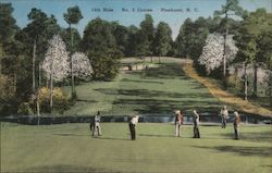 14th Hole - No. 3 Course, Pinehurst Resort Postcard