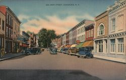 Reed Street Coxsackie, NY Postcard Postcard Postcard