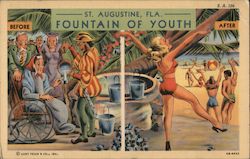 Fountain of Youth Postcard