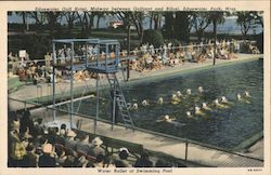 Water Ballet At Swimming Pool: Edgewater Gulf Hotel Postcard