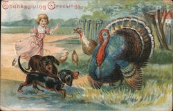 Thanksgiving Greetings Postcard