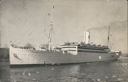 S.S. Drottingholm Svencka Amerika Linien Swedish American Line Postcard