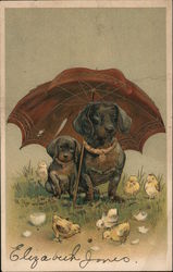 Dogs under Umbrella Postcard