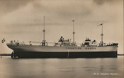 M. S. Chastine Maersk Postcard