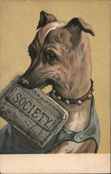 Dog with a newspaper Dogs