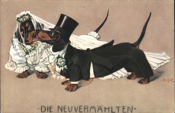 Die Neuvermahlten-Wedding Dachshunds