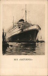 M/S Saturnia Steamers Postcard Postcard Postcard