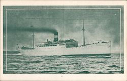 Standard Fruit and Steamship Company, Vaccaro Line, New Fast Steamer "Contessa" Steamers Postcard Postcard Postcard