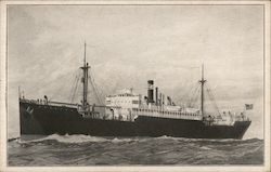 American Pioneer Line, Roosevelt Steamship Co. Steamers Postcard Postcard Postcard