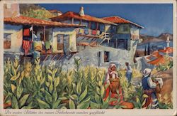 The first leaves of the new tobacco harvest are picked Postcard