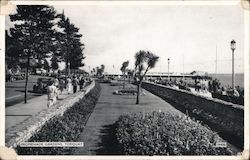 Promenade Gardens Torquay, United Kingdom Devon Postcard Postcard Postcard