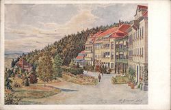 Paseka Specialized Medical Institute, Gustav Brauner Postcard