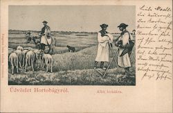 Farming and Raising Sheep on the Biharia Plain Postcard