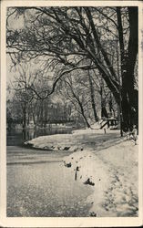 Sázava in Winter, Německý Brod Postcard
