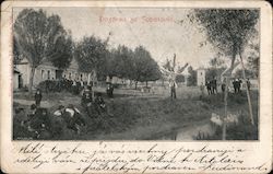 Men Hanging Out on the Riverbank and Some Ducks Postcard