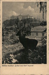 Weltbad Karlsbad Gasbad and Hotel Imperial Karlovy Vary, Czech Republic Eastern Europe Postcard Postcard Postcard