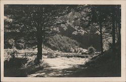 "Aus dem Tale der Stillen Teß" Postcard