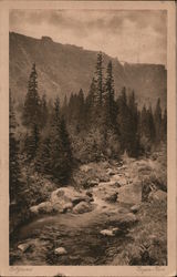 Elbgrund, Riesengebirge by Eugen Hein Postcard