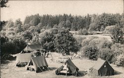 Camping in Czechoslovakia Postcard