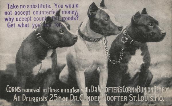 Ad for Corn and Bunion Remedy. Three dogs. Advertising