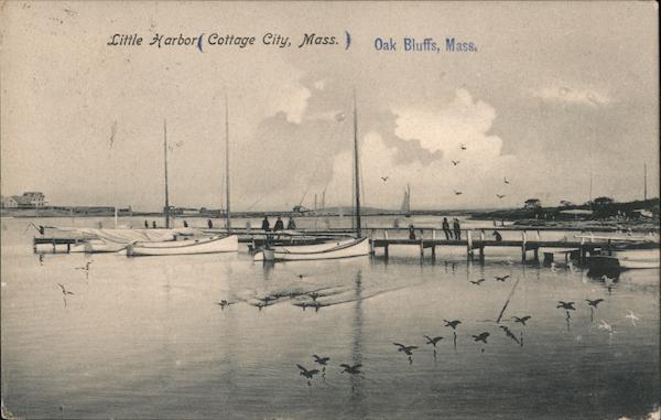 Little Harbor Oak Bluffs Massachusetts