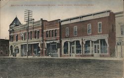 Section of Prominent Business Block, Main Street Winnebago, MN Postcard Postcard Postcard