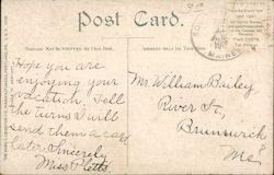 back