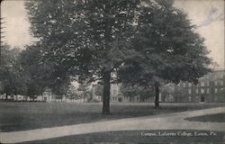 Campus, Lafayette College Easton, PA Postcard Postcard Postcard