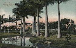 Moanalua, in the Suburbs of Honolulu Hawaii Postcard Postcard Postcard