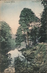 In Bolton Woods Postcard