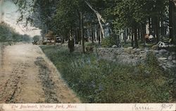 The Boulevard, Whalom Park Postcard